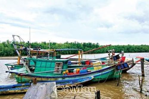 Vững tâm chống chọi mưa bão