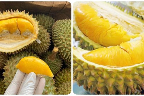 Được mệnh danh là 'vua các loại trái cây' nhưng sầu riêng đại kỵ với 6 người sau