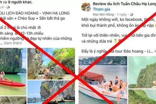 Cảnh báo dính bẫy mua tour du lịch chui khám phá 'đảo hoang' trên vịnh Hạ Long