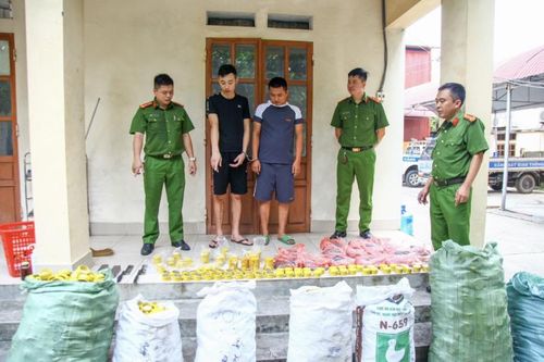 Lộ diện ổ nhóm chế tạo đạn súng hơi, thu giữ 123.000 viên đạn