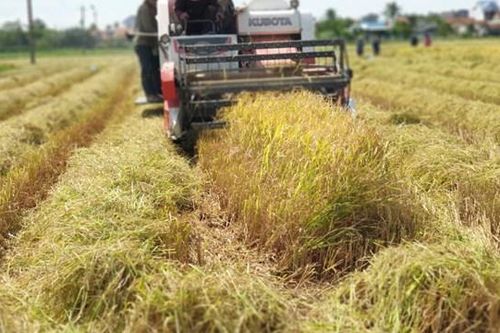 Phú Yên: Đầu tư phát triển ngành nghề nông thôn năm 2023