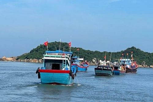 Quảng Ngãi: Dự kiến dùng hơn 55 tỷ đồng hỗ trợ ngư dân chuyển đổi nghề