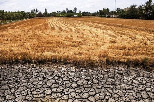 'Chiếc áo không làm nên thầy tu'
