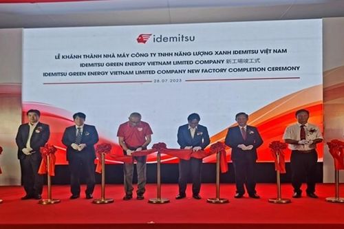 Khánh thành nhà máy chế biến gỗ, sản xuất nhiên liệu sinh học rắn tại Bình Định