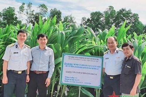 Bình Định chung tay với Vùng 4 Hải quân thực hiện chương trình 'Xanh hóa Trường Sa'