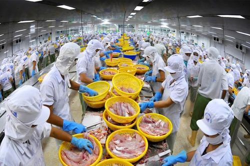 Hiệp định thương mại tự do Việt Nam - Israel: Tiềm năng thị trường ngách