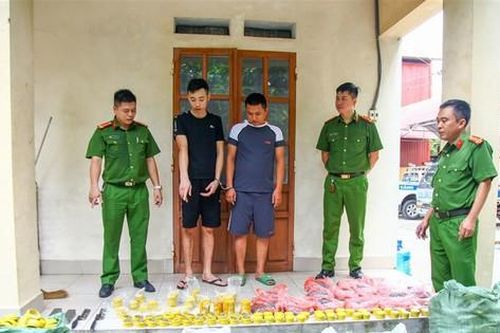 Giả thuê đất trồng rau để sản xuất đạn dược