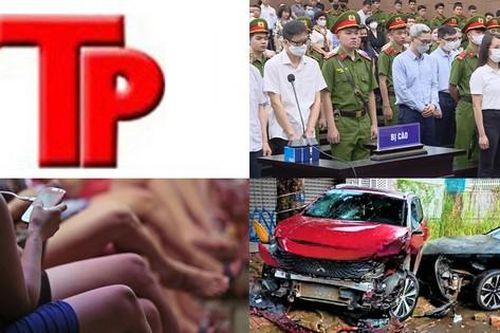 Bản tin Hình sự: Bản án nghiêm khắc với cựu điều tra viên vụ 'chuyến bay giải cứu'
