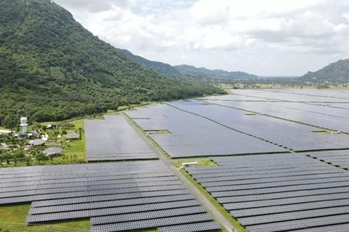Từ vàng ươm màu nắng đến cánh đồng thương mại điện năng