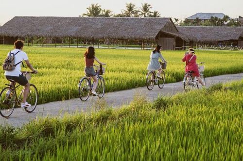 Nghĩ về du lịch nông thôn