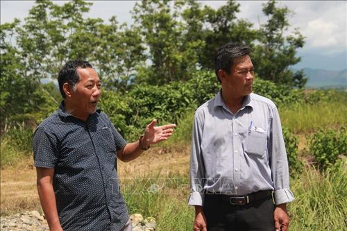 Cựu chiến binh có hai bằng Đại học, sản xuất, kinh doanh giỏi