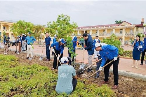 Thực hiện chương trình 'Triệu cây xanh - Vì một Việt Nam xanh' tại Hải Dương