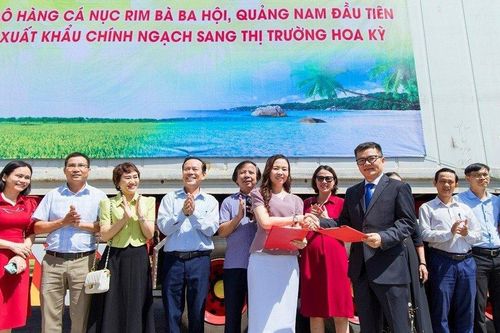 Xuất khẩu lô hàng cá nục rim Quảng Nam đầu tiên sang thị trường Mỹ