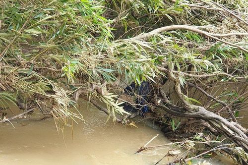 Bình Thuận: Phát hiện thi thể người đàn ông dưới dòng suối