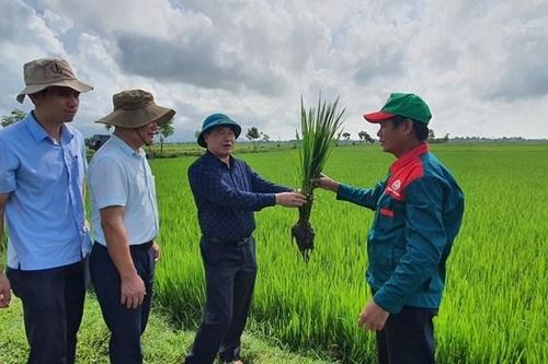Lan tỏa những mô hình nông nghiệp hữu cơ, tuần hoàn