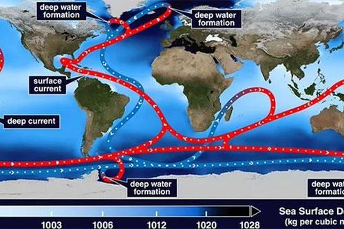 Dòng hải lưu Đại Tây Dương sẽ biến mất vào năm 2025?
