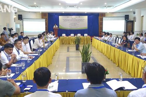 Cần có chính sách, sáng kiến phát triển lâm nghiệp bền vững ở miền Trung và Tây Nguyên