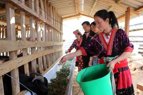 Đào tạo nghề sát nhu cầu thực tiễn