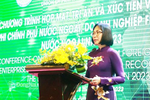 Đồng Nai mong muốn tiếp tục hợp tác với các tổ chức phi chính phủ, hiệp hội nước ngoài