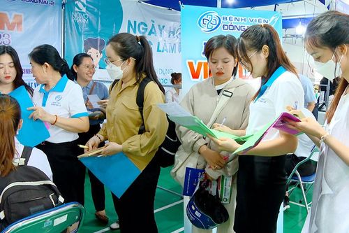 Chưa ra trường đã nhiều nơi muốn tuyển dụng
