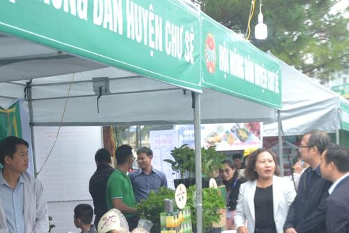 Khai mạc phiên chợ nông sản và Hội thi 'Sản phẩm nông nghiệp tiêu biểu' tỉnh Gia Lai lần thứ 2