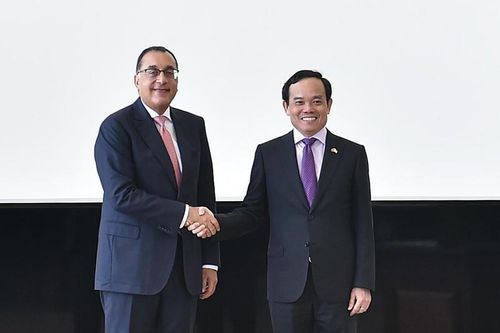 Tăng cường kết nối doanh nghiệp Việt Nam-Ai Cập