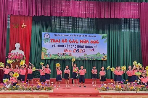 Sôi động Trại hè các môn học tại Trường Tiểu học Bắc Cường