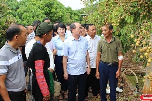 Tham quan các mô hình phát triển kinh tế tiêu biểu tại huyện Mai Sơn