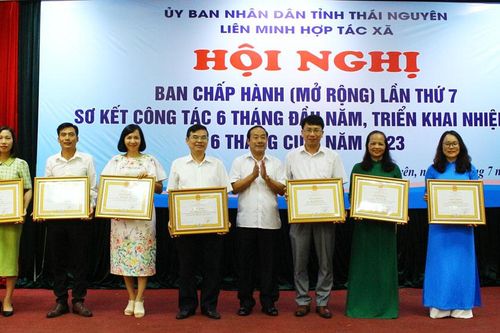 Khen thưởng các cá nhân, hợp tác xã tiêu biểu