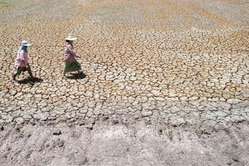 Châu Á - Thái Bình Dương: Cơ hội đối phó với thảm họa khí hậu đang hẹp lại