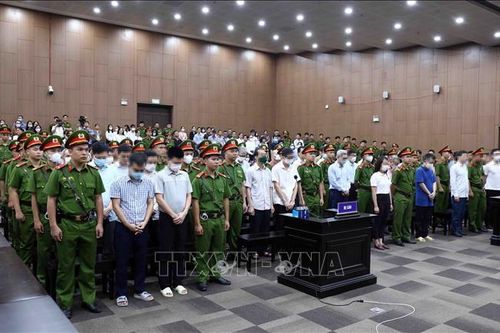 Vụ án 'chuyến bay giải cứu': Những bài học về đạo đức và giá trị trong xã hội
