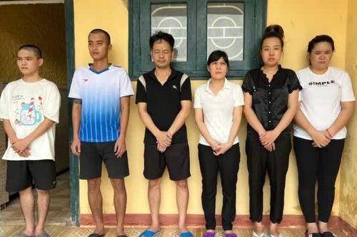 Quảng Bình: Triệt phá đường dây lừa đảo đầu tư tài chính chiếm đoạt gần 1.900 tỉ đồng