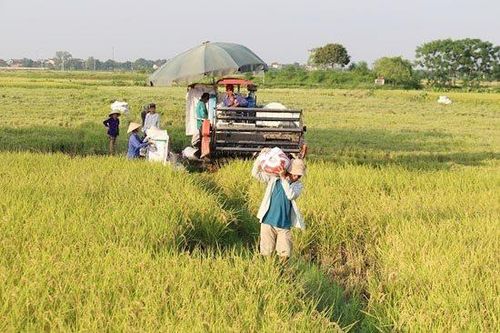 Nhiều chỉ tiêu sử dụng đất đạt tỷ lệ rất thấp