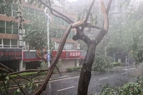 Bão Doksuri bất ngờ tăng cường độ dữ dội khi tiến vào Trung Quốc