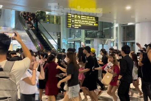 Ái ngại cảnh fan Việt chạy tán loạn khi đón BlackPink ở sân bay Nội Bài