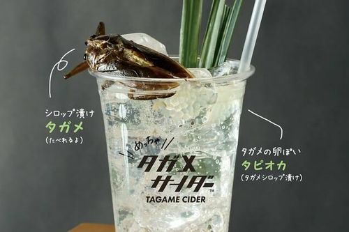 Sashimi tằm, mỳ cá sấu - những món ăn kỳ quặc trên thế giới