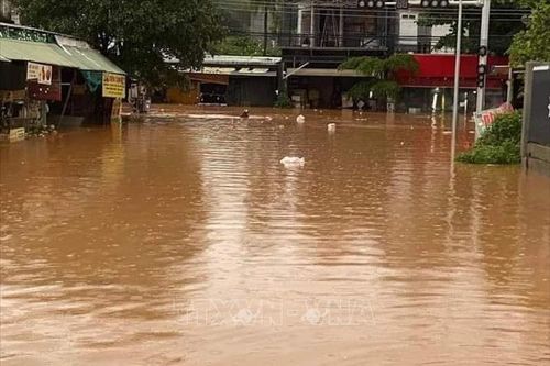Mưa lớn kèm dông lốc làm nhiều cây xanh, trụ điện ở TP Đồng Xoài gãy đổ