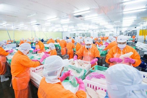 Đứt chuỗi 6 tháng liên tiếp có lãi, Thủy sản Nam Việt lỗ nặng