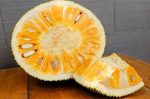 Mẹo hay làm sạch nhựa mít dính trên tay, dao và quần áo cực nhanh