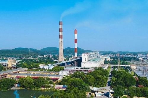Vi phạm về môi trường, Nhiệt điện Phả Lại bị đình chỉ hoạt động 12 tháng