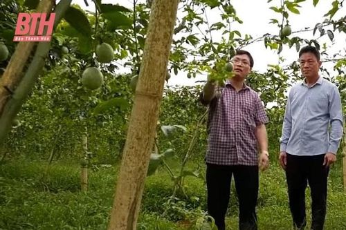 Chuyển biến tích cực từ thực hiện Nghị quyết Trung ương 4 ở Đảng bộ huyện Lang Chánh