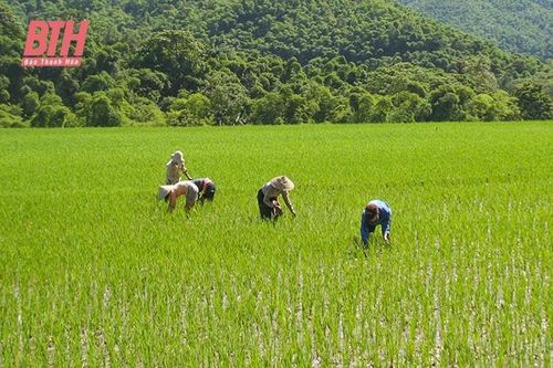 Hiệu quả đầu tư hệ thống thủy lợi ở miền núi