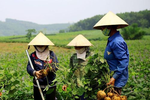 Quy chế dân chủ - 'chìa khóa' trong xây dựng nông thôn mới ở huyện Cẩm Thủy