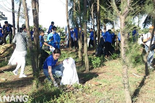 Hoa hậu Hòa bình Việt Nam cùng 800 người tham gia ngày hội môi trường biển