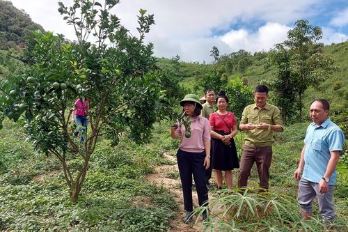 Xóa bỏ tư tưởng trông chờ, ỷ lại vào Nhà nước