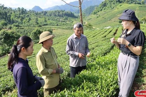 Đồng hành cùng nông dân phát triển kinh tế