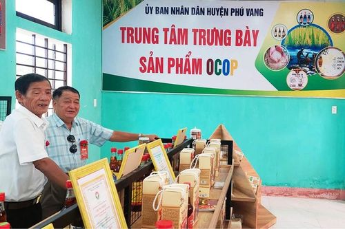 Phú Vang 'tăng tốc' triển khai chương trình OCOP