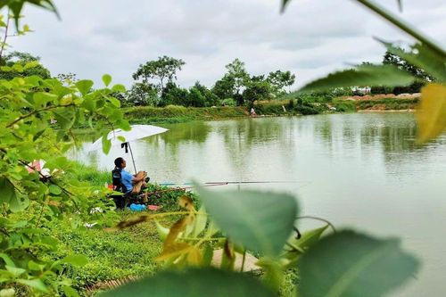 Trở về quê hương