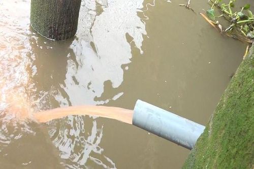 Công ty Lê Tính bị phạt 830 triệu đồng do xả thải gây ô nhiễm môi trường