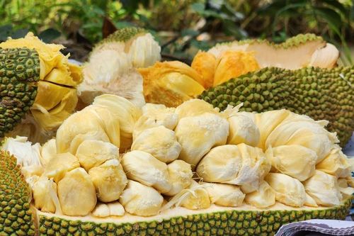 Mít lạ ở miền Tây thơm mùi sầu riêng, giá đắt vẫn 'cháy hàng'